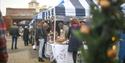 Stalls and a Christmas Tree at a Hotwalls Festive Market