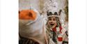Holly the Husky, Christmas at Tapnell Farm Park, What's On