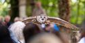 Hawk Conservancy Trust