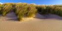 Camber Sands - credit: Clive Sawyer