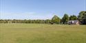 Common in Lindfield, West Sussex