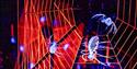 Creepy Spiders Web at Blenheim Palace Halloween Event