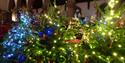 St Luke’s Christmas Tree Festival