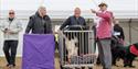 Windsor Championship Dog Show competitors with dogs. Image courtesy ShowdogMedia: www.showdogmedia.co.uk