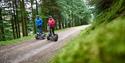 Go Ape Moors Valley