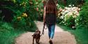 Dogs welcome to Leonardslee Gardens in West Sussex