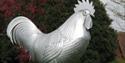 Mole Valley rooster

