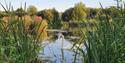 Dorney Wetlands in Slough, Berkshire - image credit Becca_zimbali
