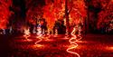 Windsor Great Park Illuminated, image credit Eric Aydin-Barberini