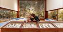 Family exploring the museum collection at Powell Cotton Museum, Kent