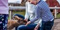 Boy feeding wallaby at Tapnell Farm Park, Yarmouth, events, things to do