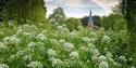 View looking over Church of St. Peter and St. Paul, Godalming in the Surrey Hills