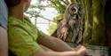 Hawk Conservancy Trust