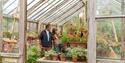 Green Houses in Quex House and Gardens, Birchington, Kent