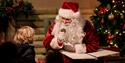 A Magical Christmas at Bocketts Farm