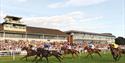 Lingfield