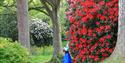 High Beeches Woodland and Water Garden