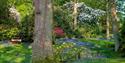 High Beeches Woodland and Water Garden