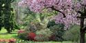 High Beeches Woodland and Water Garden