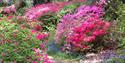 High Beeches Woodland and Water Garden