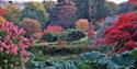 High Beeches Woodland and Water Garden