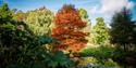 Sir Harold Hillier Gardens