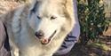 Eagle Heights Wildlife Foundation