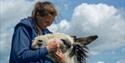 The Isle of Wight Donkey Sanctuary