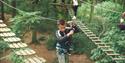 Go Ape in the South East