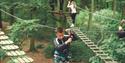 Go Ape Crawley