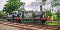 Isle of Wight Steam railway, Winter Gala and Dark Ales Festival, image of one engine coupled to another
