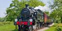 Steam train in countryside, Isle of Wight Steam Railway, Things to Do, What's On