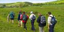 Isle of Wight walking festival