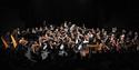 Isle of Wight Steam Railway, IWSO Proms, Orchestra image