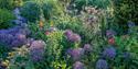 Beautiful Flower beds at Bates Green Garden, Arlington, East Sussex
