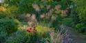 Flowerbed at Bates Green Garden