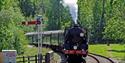 Bluebell Railway
