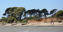 Lepe Country Park