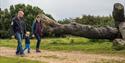 Family Walks at Lepe Country Park