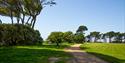 Lepe Country Park's Green Space