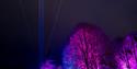 A photo taken at Let's Glow 2024, purple and blue lights light up the trees in War Memorial Park.
