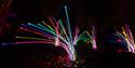 Light Up Sir Harold Hillier Gardens at Christmas