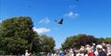 Hawk Conservancy Trust