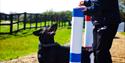 Medmerry Park