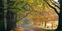 Autumn colours at the entrance to Mote Park in the heart of Maidstone, Kent.  Credit Maidstone Borough Council.