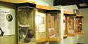 Roman exhibits at Newport Roman Villa, Isle of Wight, Things to Do