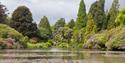 Sheffield Park National Trust - view of the lake with green trees in the background