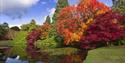 Sheffield Park National Trust - view of the lake and autumnal coloured trees