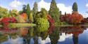Sheffield Park National Trust - view of the lake and autumnal coloured trees
