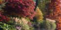 Sheffield Park National Trust - autumnal coloured trees